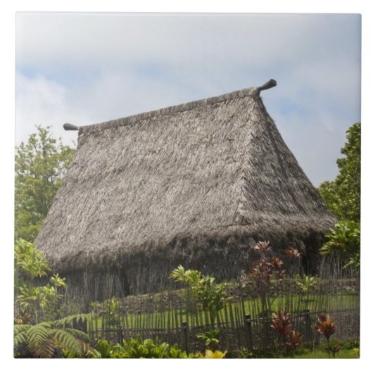 Carreau Fidji, île de Viti Levu. Culture polynésienne (Devant)