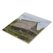 Carreau Fidji, île de Viti Levu. Culture polynésienne (Côté)