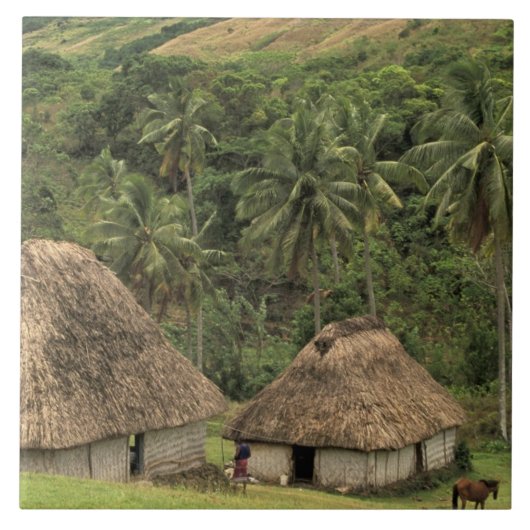 Carreau Fidji, Viti Levu, Navala, maisons traditionnelles (Devant)