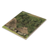 Carreau Fidji, Viti Levu, Navala, maisons traditionnelles (Côté)