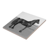 Carreau Fière Friesienne cheval d'étalon noir (Côté)