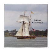Carreau Fierté de tuile Baltimore II (Devant)