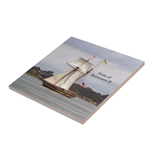 Carreau Fierté de tuile Baltimore II (Côté)