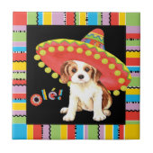 Carreau Fiesta Cavalier (Devant)