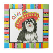 Carreau Fiesta Havanais (Devant)