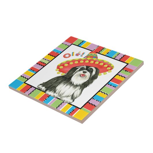 Carreau Fiesta Havanais (Côté)