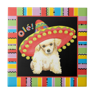 Carreau Fiesta Toy Poodle