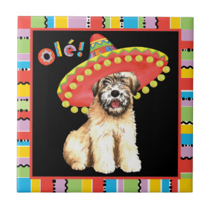 Carreau Fiesta Wheaten