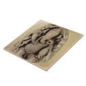 Carreau Figure de Ganapati, dynastie de Chandella (grès) (Côté)