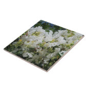 Carreau Fin d'arbre du Myrte de crêpe (Côté)