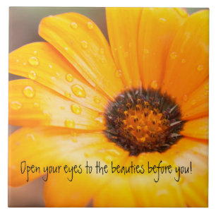 Carreau Fin orange de marguerite africaine d'instantané d