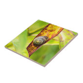 Carreau fixation calme (Côté)