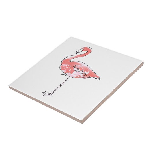 CARREAU FLAMANT ROSE (Côté)