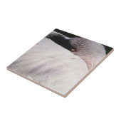 Carreau Flamant rose (Côté)