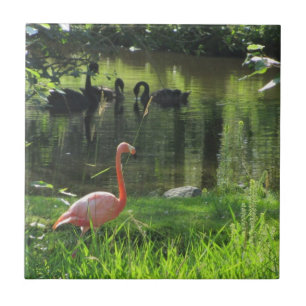 Carreau Flamant rose