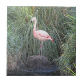 Carreau Flamant rose (Devant)