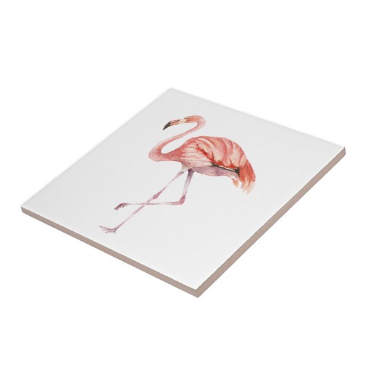 Carreau Flamant rose rose (Côté)