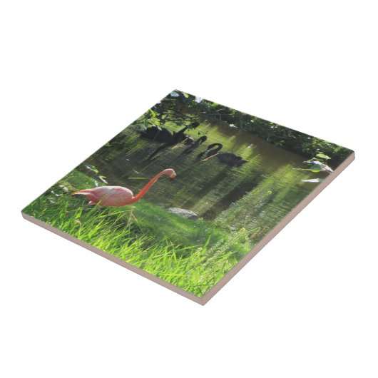 Carreau Flamant rose rose (Côté)