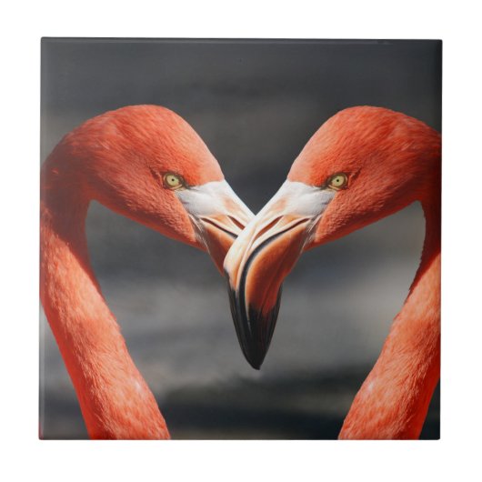Carreau Flamant rose Valentine (Devant)