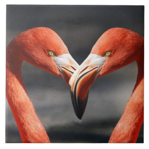 Carreau Flamants roses amoureux