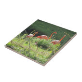 Carreau Flamants roses roses (Côté)