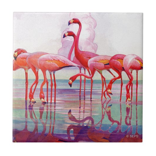 Carreau Flamants roses roses par Francis Lee Jaques (Devant)