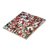 Carreau Flamboyant Royal Poinciana Tree (Côté)