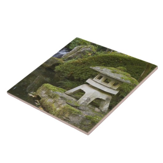 Carreau Flanterne de pierre et Chutes célestes (Côté)