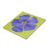 Carreau Flèche bleue n° 1 (Côté)