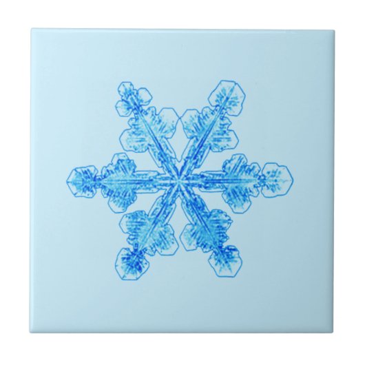 Carreau Flèche de neige Blue Winter (Devant)