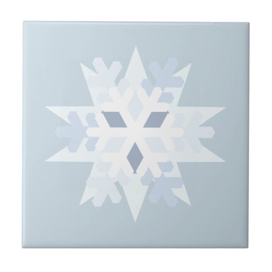 Carreau Flèche de neige en hiver (Devant)