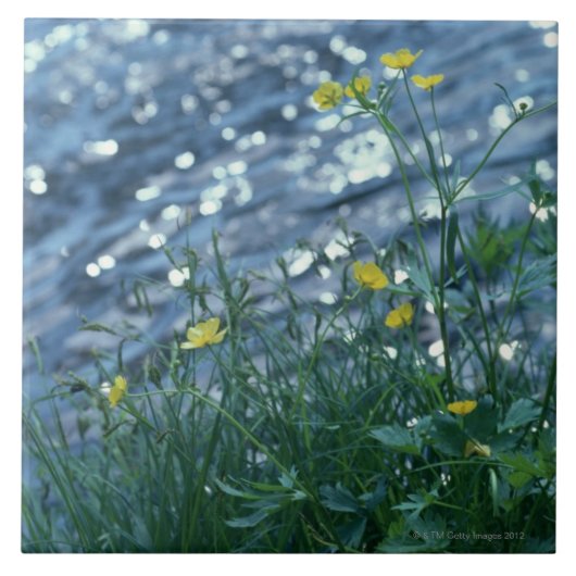 Carreau Fleur (Devant)