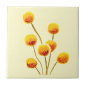 Carreau Fleur australienne native de Billy Button jaune (Devant)