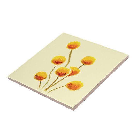 Carreau Fleur australienne native de Billy Button jaune (Côté)