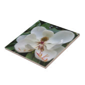 Carreau Fleur blanche de magnolia (Côté)