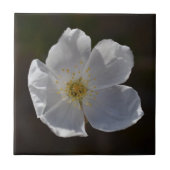 Carreau Fleur blanche simple (Devant)