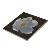 Carreau Fleur blanche simple (Côté)