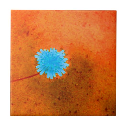 Carreau Fleur Bleue Clair Solitaire (Devant)