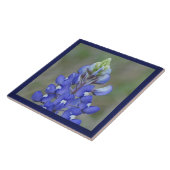 Carreau Fleur Bluebonnet simple (Côté)