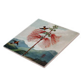 Carreau Fleur botanique Fleur Sensibles Plante céramique (Côté)