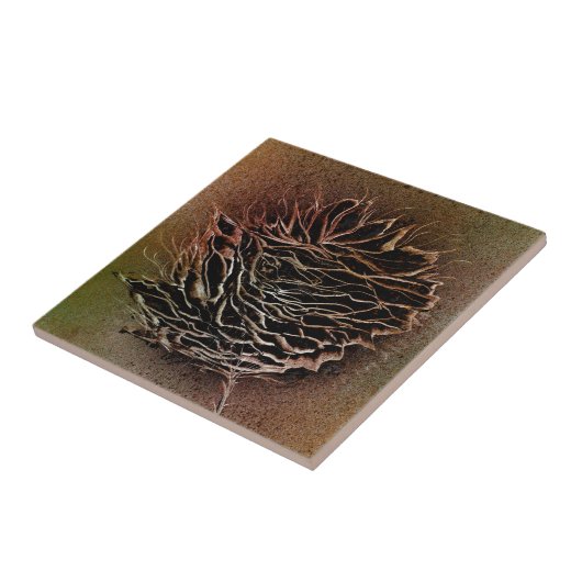 Carreau Fleur Brown Terre (Côté)