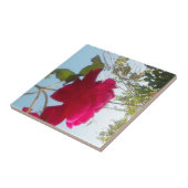 Carreau Fleur céleste : Un Rose contre le ciel (Côté)