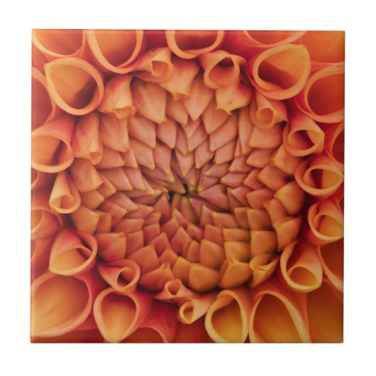 Carreau Fleur Centre Orange Dahlia (Devant)