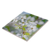 Carreau Fleur cerise blanche (Côté)