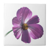 Carreau Fleur Cosmos (Devant)