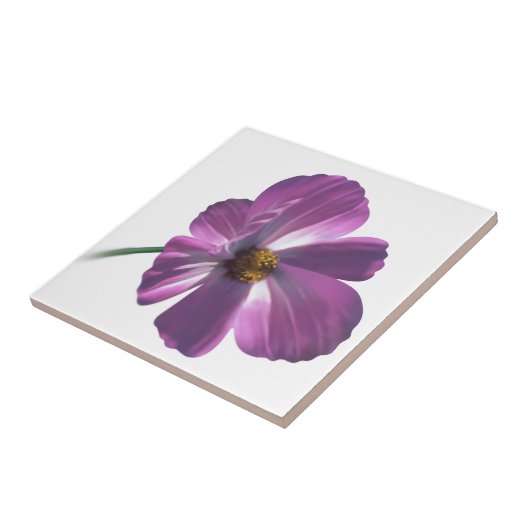 Carreau Fleur Cosmos (Côté)