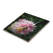 Carreau Fleur d'abeille et rose (Côté)