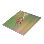 Carreau Fleur d'ananas (Côté)