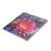 Carreau Fleur de cactus de soucoupe volante (Côté)