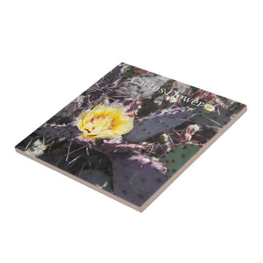 Carreau Fleur de cactus jaune (Côté)